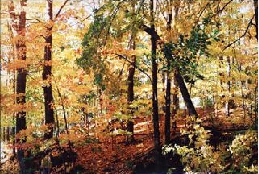 The Cottage Stockbridge Bagian luar foto